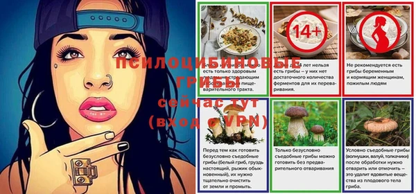 ПСИЛОЦИБИНОВЫЕ ГРИБЫ Алексеевка