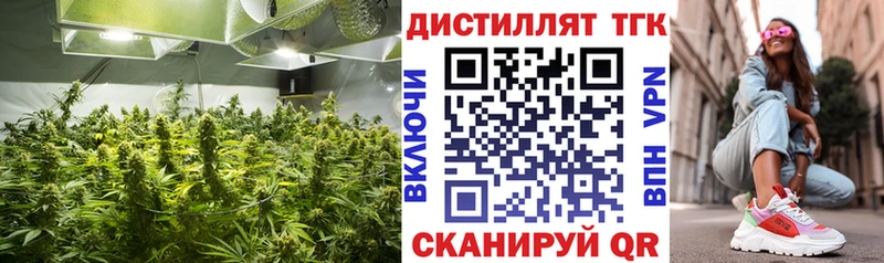 Дистиллят ТГК концентрат  ссылка на мегу зеркало  Сасово 